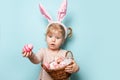 Portrait of a cute little girl dressed in Easter bunny ears holding colorful eggs on blue background Royalty Free Stock Photo