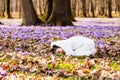 Portrait of cute little girl among first spring flowers Royalty Free Stock Photo