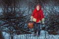 Portrait of a cute little girl in a red fur coat in the winter forest Royalty Free Stock Photo