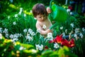 Girl watering flowers. Little girl with a watering can in the garden.