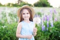 Portrait of a cute little girl in sunny summer day on a green nature background. Summer joy - a beautiful girl holds a dandelion. Royalty Free Stock Photo