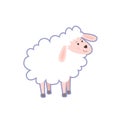 Portrait of cute little sheep Royalty Free Stock Photo