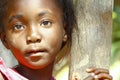 Portrait of cute malagasy girl Royalty Free Stock Photo