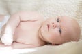 Portrait of a newborn baby lying on his side Royalty Free Stock Photo