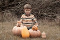 Portrait of cute preschool boy sitting in field near big pumpkins decorated for Halloween. child grimaces, frightens. October, Royalty Free Stock Photo