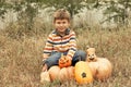 Portrait of cute preschool boy sitting in field near big pumpkins decorated for Halloween. October, outdoor. Harvesting Royalty Free Stock Photo