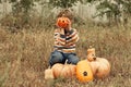 Portrait of cute preschool boy sitting in field near big pumpkins decorated for Halloween. Royalty Free Stock Photo