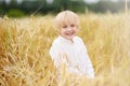 Portrait of cute preschooler boy on gold wheat autumn field. Child wearing white shirt walk in grain-field. Kid in field of rye Royalty Free Stock Photo