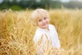 Portrait of cute preschooler boy on gold wheat autumn field. Child wearing white shirt walk in grain-field. Kid in field of rye Royalty Free Stock Photo