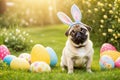 Portrait of cute pug wearing an easter bunny costume with bunny ears standing among big hand-painted easter eggs on the grass in