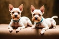 Portrait of a Cute puppy of the Yorkshire Terrier dog standing on the green grass in the park. Generative AI Royalty Free Stock Photo