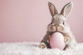 Portrait of a cute rabbit with an Easter egg in his hands Royalty Free Stock Photo
