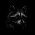 Portrait of a cute raccoon on a black background