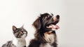 portrait of a cute shaggy dog and cat looking at the camera in front of a white background AI Royalty Free Stock Photo