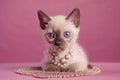 Portrait of a cute siamese kitten with beads on pink background. Royalty Free Stock Photo