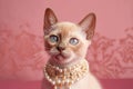 Portrait of a cute siamese kitten with beads on pink background. Royalty Free Stock Photo