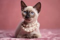 Portrait of a cute siamese kitten with beads on pink background. Royalty Free Stock Photo