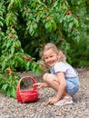Portrait of a cute smiling girl with a basket of sweet cherries.