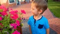 Portrait of cute smiling little boy smelling beautiful pink flowers growing in pot on the street Royalty Free Stock Photo