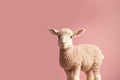 Portrait of a cute spring lamb. Studio shot against a bright background. Generative ai Royalty Free Stock Photo
