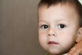 Portrait of cute toddler boy looking at camera with copy space for text