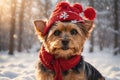 portrait of a cute yorkie dog in a red winter hat. ai generative