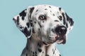 Portrait of a dalmatian dog on a blue background close-up, created with Generative AI technology. Royalty Free Stock Photo