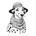 Portrait of Dalmatian dog in hat and scarve. Generative AI