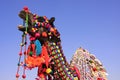 Portrait of decorated camel at Desert Festival, Jaisalmer, India Royalty Free Stock Photo