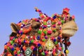 Portrait of decorated camel at Desert Festival, Jaisalmer, India Royalty Free Stock Photo