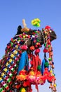 Portrait of decorated camel at Desert Festival, Jaisalmer, India Royalty Free Stock Photo