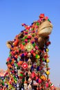 Portrait of decorated camel at Desert Festival, Jaisalmer, India Royalty Free Stock Photo
