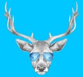 Portrait of Deer with mirror sunglasses. Royalty Free Stock Photo