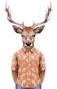 Portrait of Deer in summer shirt.