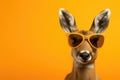 Portrait Deer With Sunglasses Orange Background