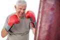 Portrait of a determined senior boxer Royalty Free Stock Photo