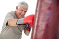 Portrait of a determined senior boxer Royalty Free Stock Photo
