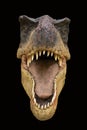 Portrait of a dinosaur called Tyrannosaurus rex on black background