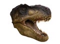 Portrait of a dinosaur called Tyrannosaurus rex on white background