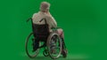 Portrait of disabled man isolated on chroma key green screen full shot. Senior bearded man sitting in wheelchair with