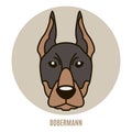 Portrait of Dobermann. Vector illustration Royalty Free Stock Photo