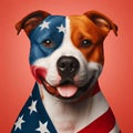 Portrait of a dog with an American flag on a red background Royalty Free Stock Photo