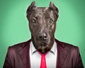 Portrait of a dog in a business suit