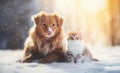 Portrait of a dog and cat sitting in snow in winter Royalty Free Stock Photo