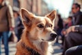 Portrait of dog in city street with blurry people in background. Generative AI