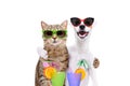 Portrait of a dog Jack Russell Terrier and cat Scottish Straight in sunglasses, hugging each other, holding cocktails in paws Royalty Free Stock Photo