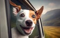 portrait of a dog looking out of a car window Royalty Free Stock Photo