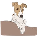 Portrait of a dog in one line. Whippet ,greyhound realistic silhouette outline on white background. Lineart. The small