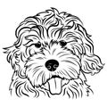 Portrait of a dog. Portrait of the breed golden doodle. Black white illustration of a fluffy dog. Print for clothes