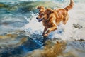 Portrait of a dog running along the beach watercolor Royalty Free Stock Photo